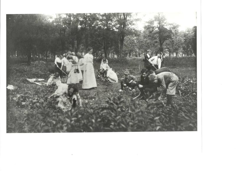 Original image