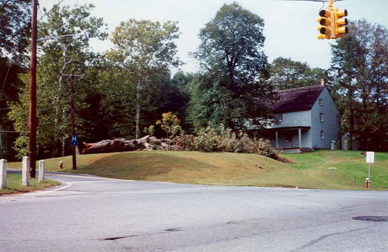 Original image