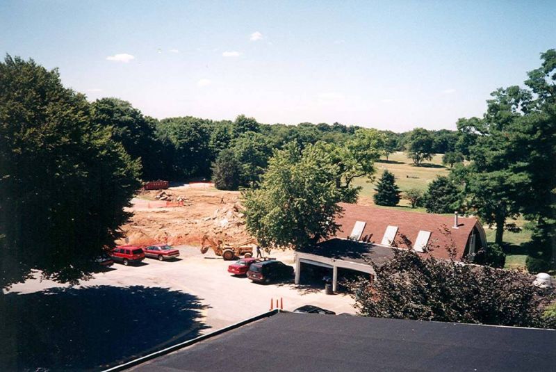 Original image