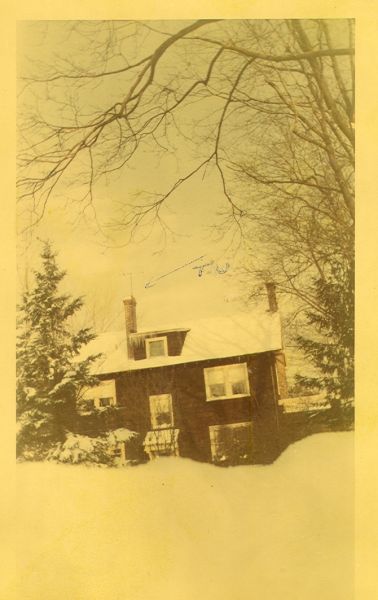 Original image