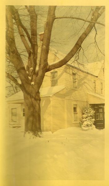 Original image