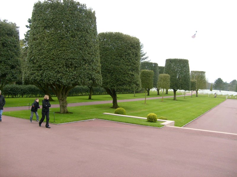 Original image