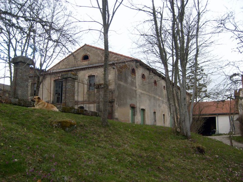 Original image