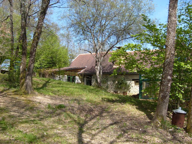 Original image