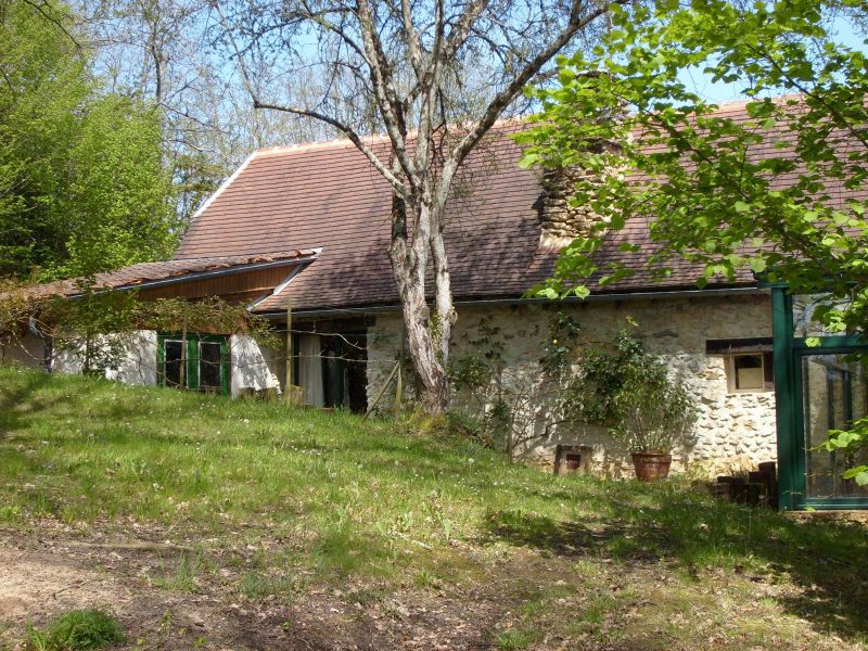 Original image