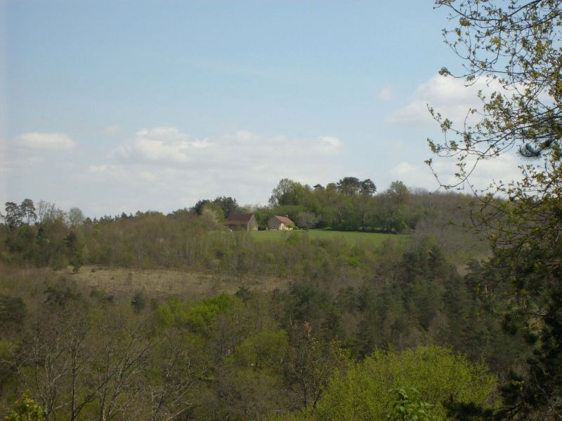 Original image