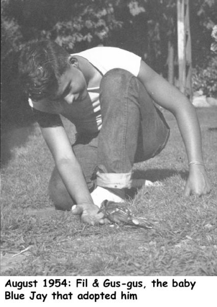 Original image
