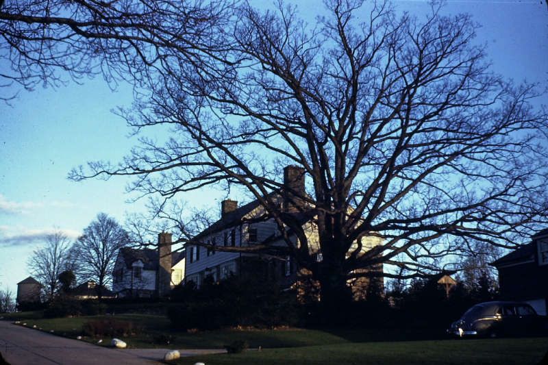 Original image