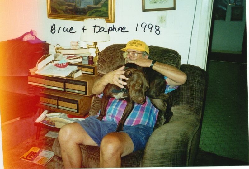 Original image