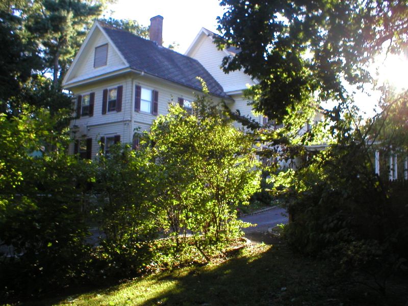 Original image