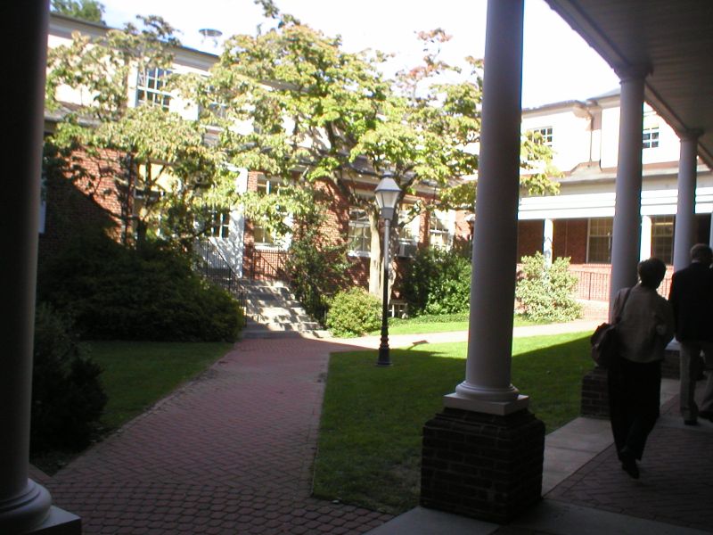 Original image